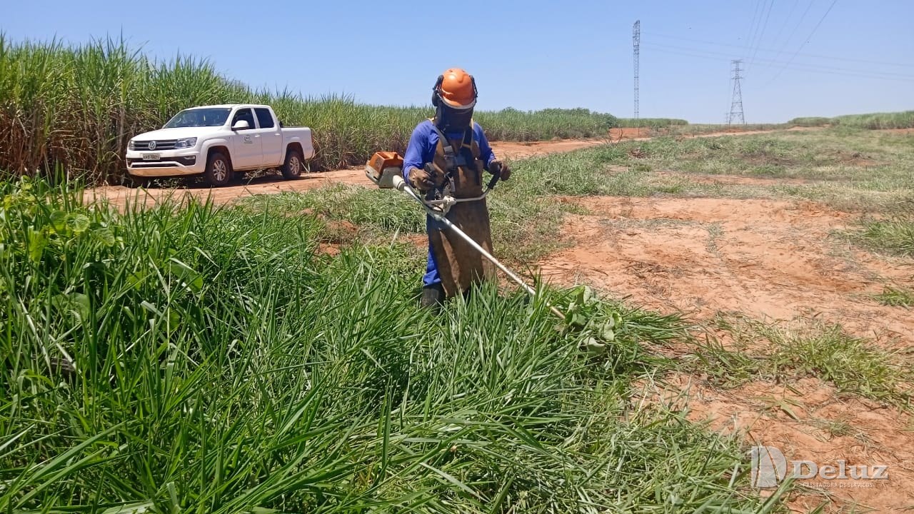 Roçada manual no acabamento junto ao canavial