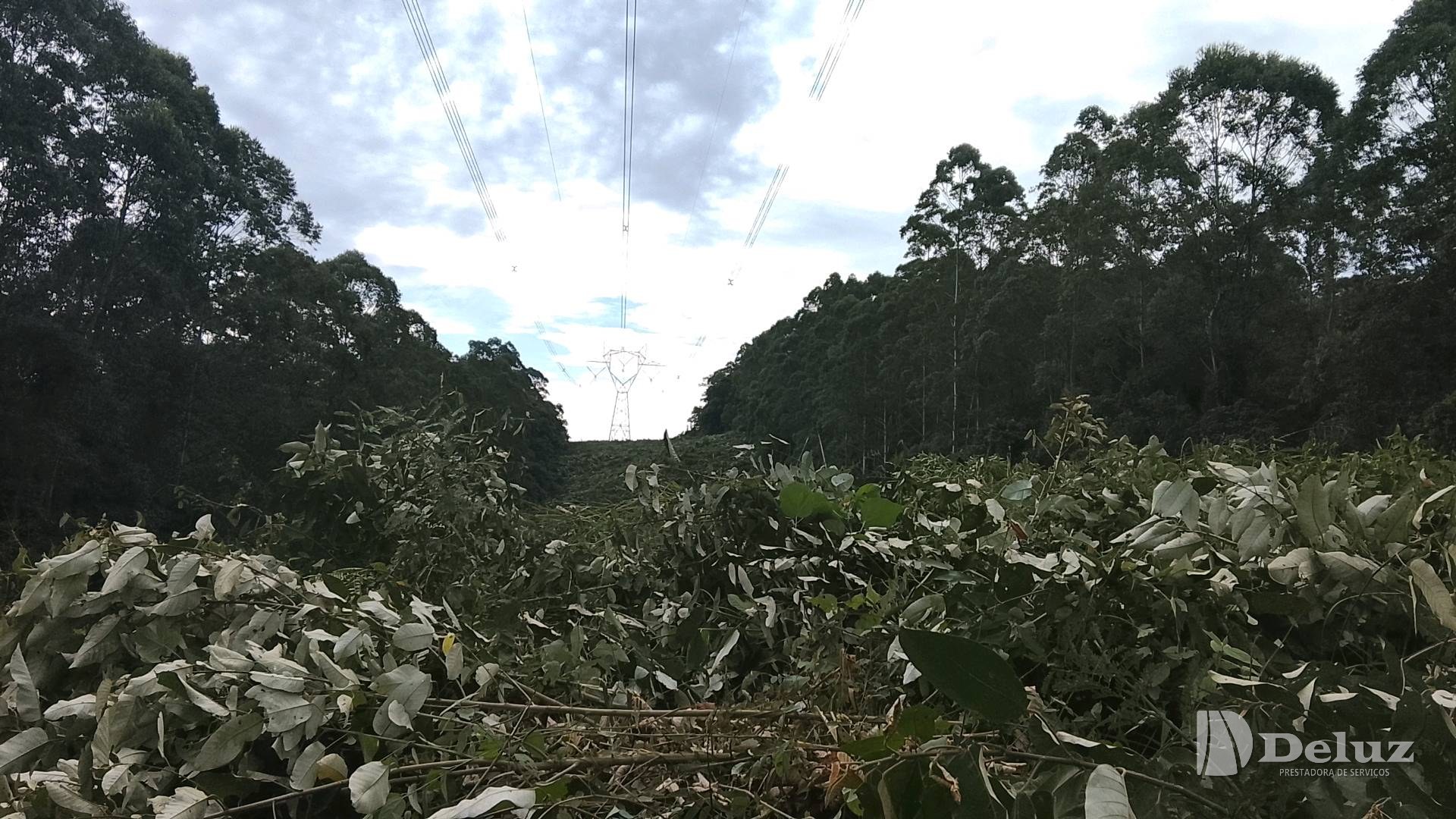 Material cortado depositado ao longo da faixa, com a estrutura ao fundo