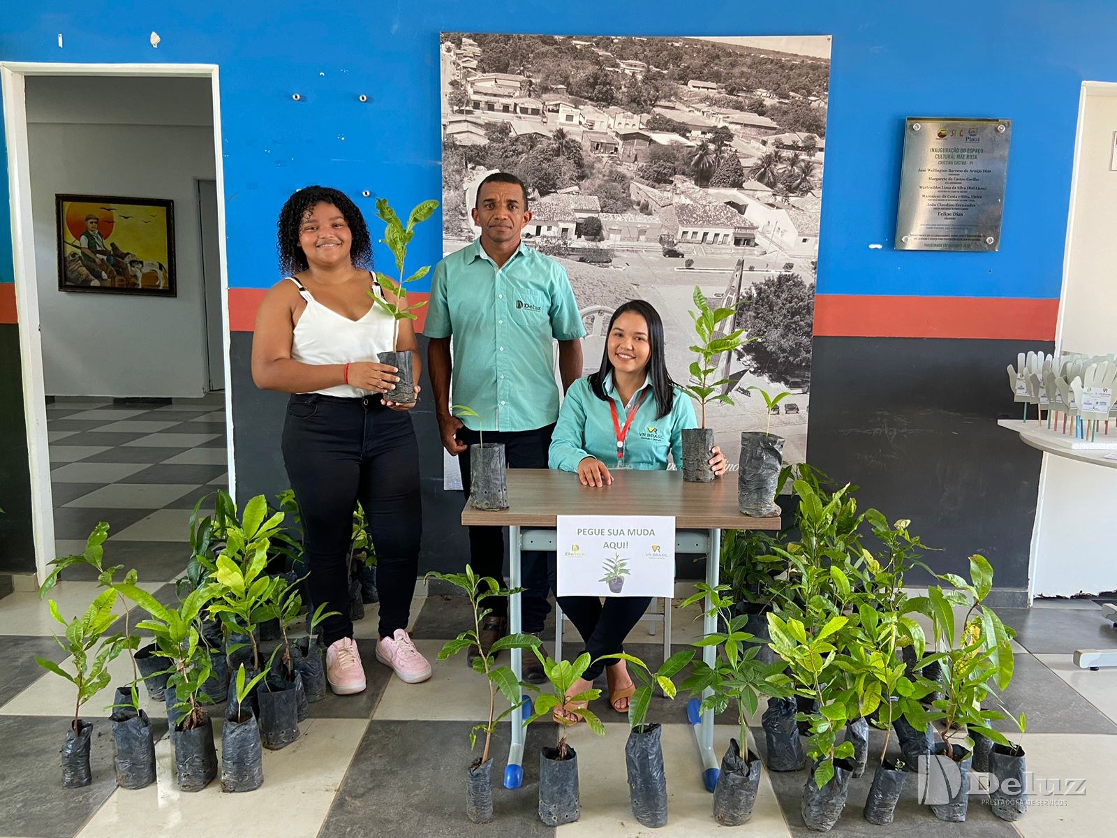 Mudas frutíferas preparadas em garrafas, prontas para a doação