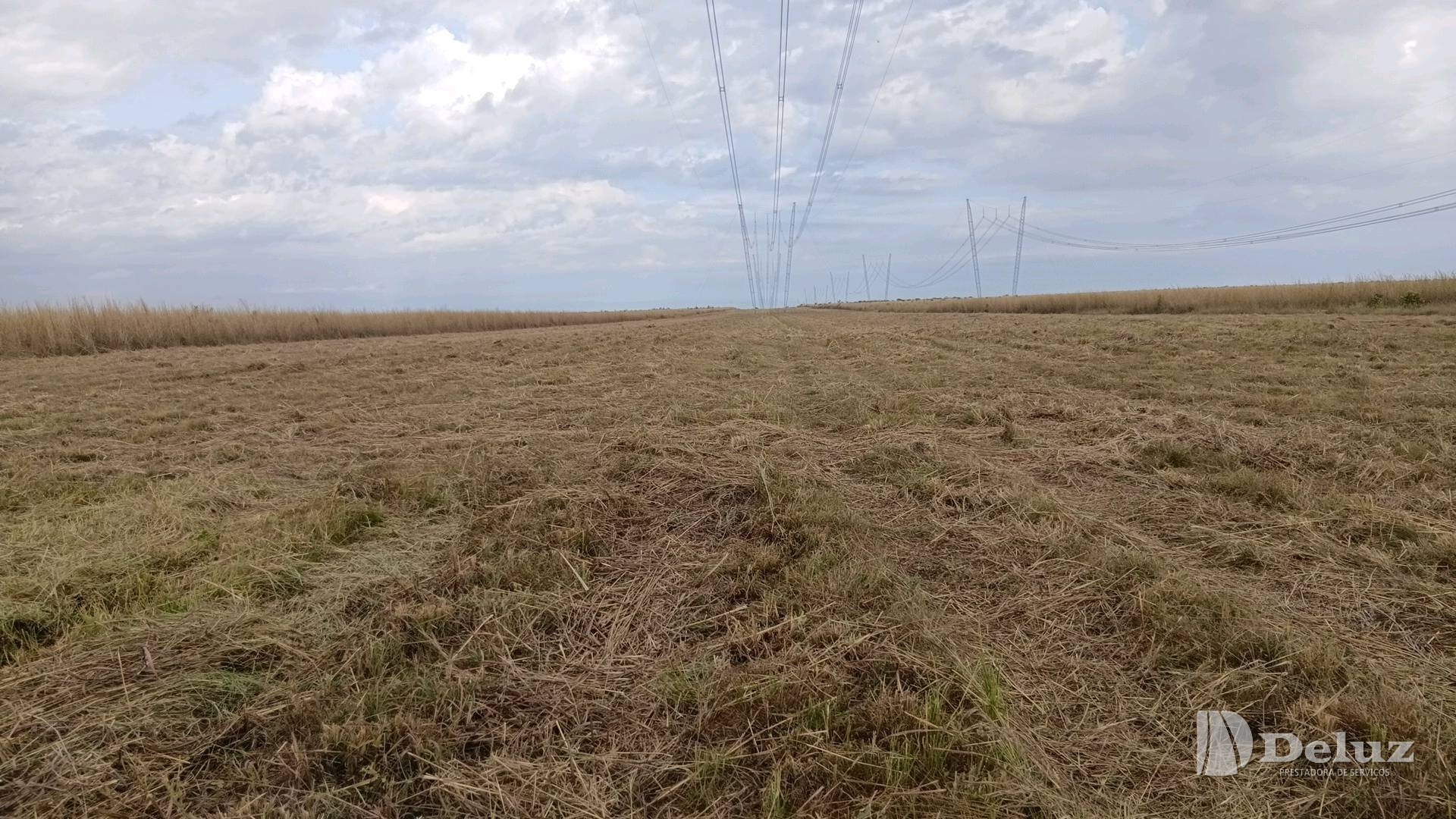 Faixa roçada com o material triturado espalhado sobre o solo