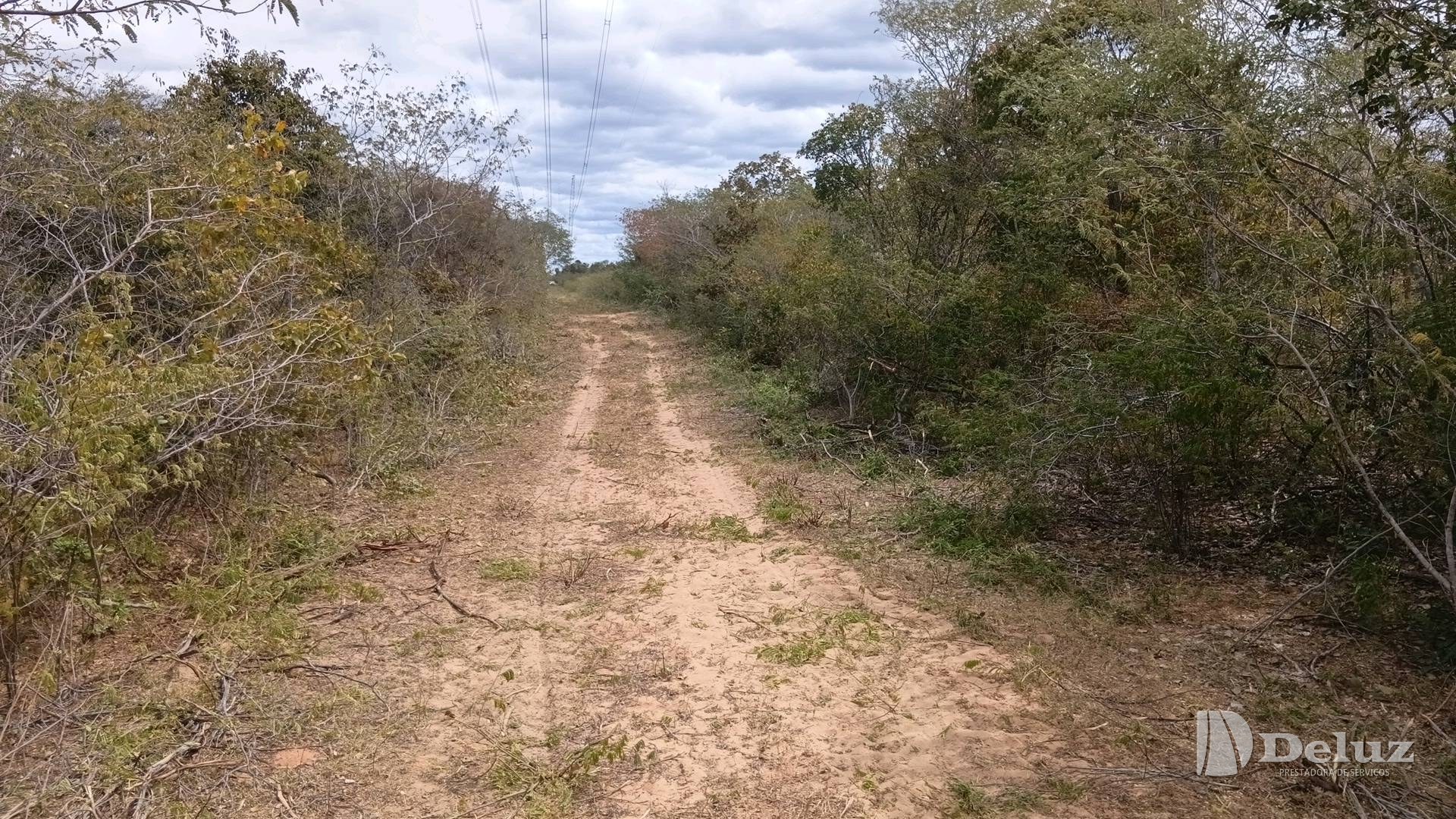 Trecho de acesso entre vegetação, com o leito já regularizado
